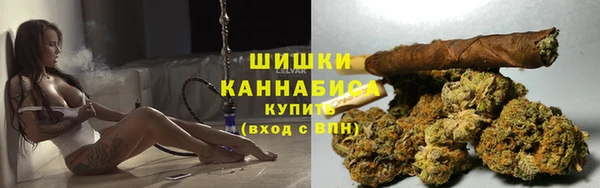 молекула духа Майский