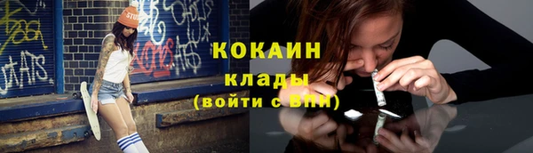 молекула духа Майский