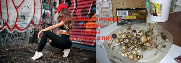 молекула духа Майский