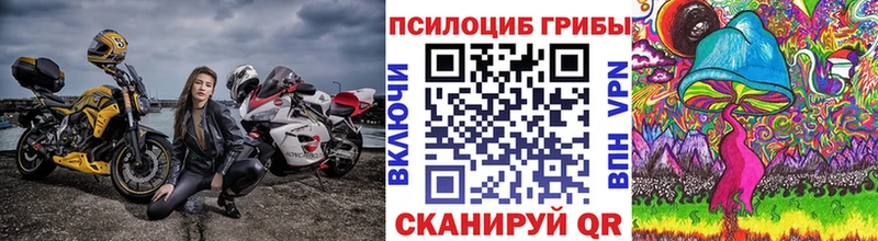 Галлюциногенные грибы ЛСД  KRAKEN ТОР  Нижний Новгород  мориарти телеграм  купить  