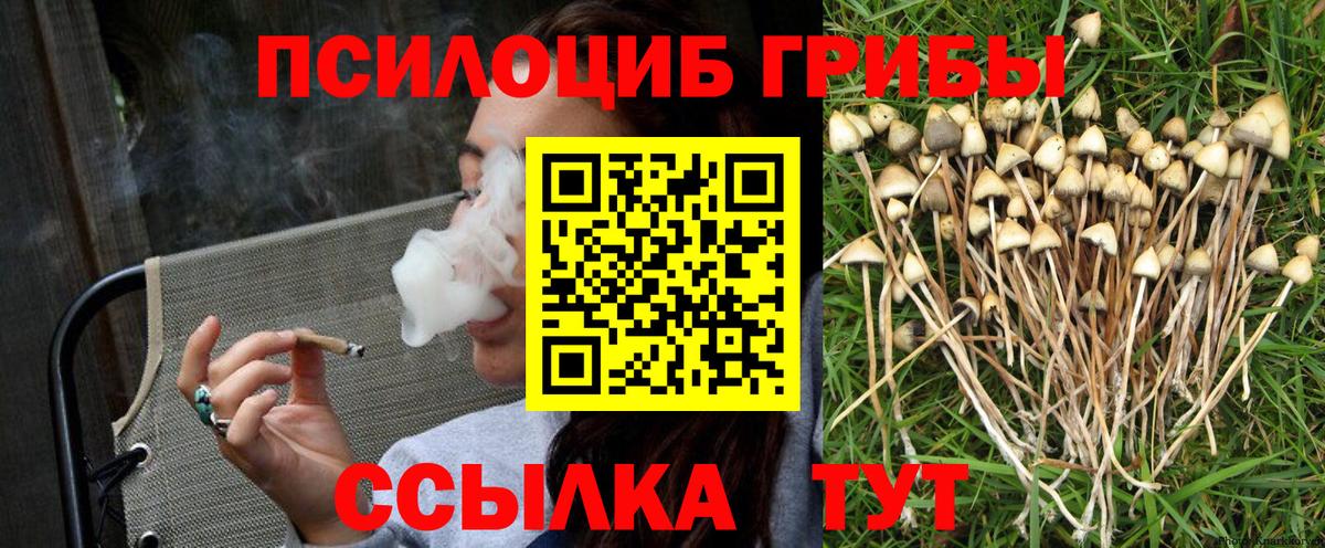 Галлюциногенные грибы MAGIC MUSHROOMS Нижний Новгород