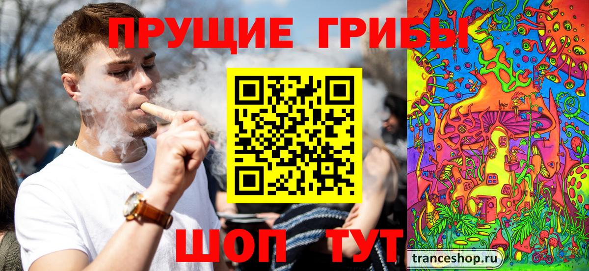 Галлюциногенные грибы Нижний Новгород