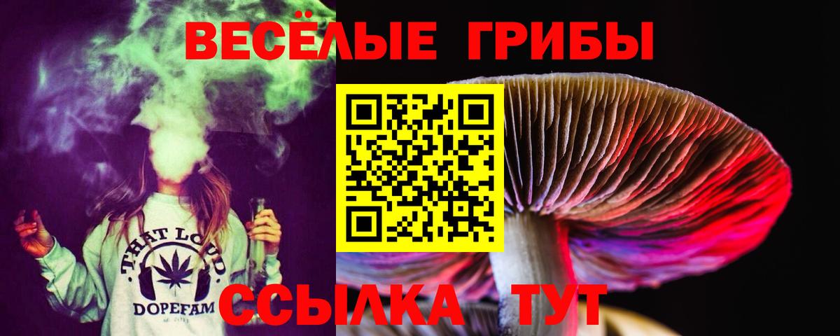 купить наркоту  Вход с VPN  Нижний Новгород  Галлюциногенные грибы мицелий 